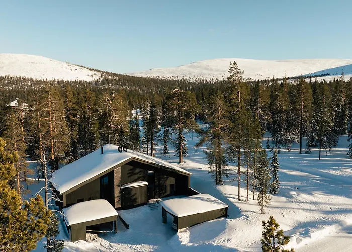 Luxurious Rakka, Yllaes Daire *